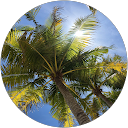 Caroline U Caroline U